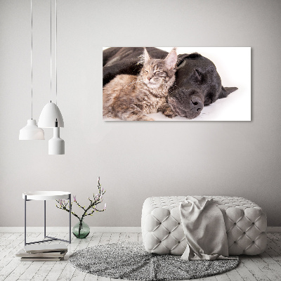 Foto op canvas Hond met kat