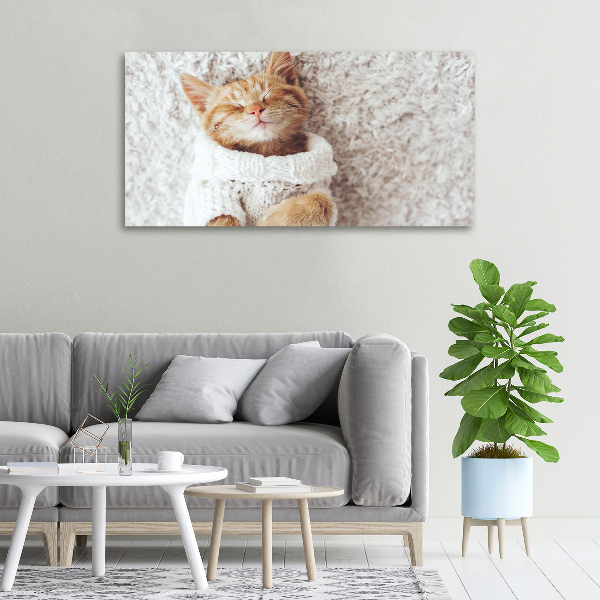 Schilderij op canvas Katje in een trui