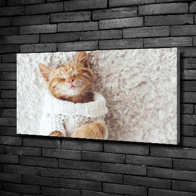 Schilderij op canvas Katje in een trui