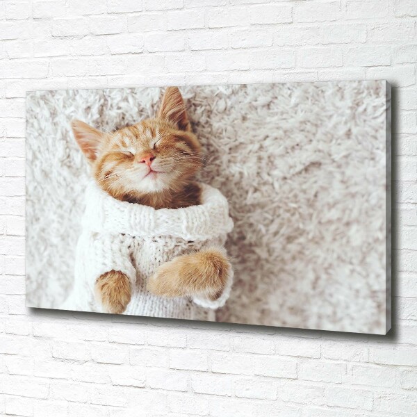 Schilderij op canvas Katje in een trui