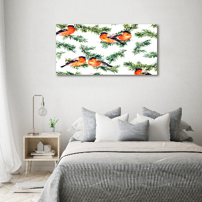 Canvas foto Roodborstje op een naaldboom