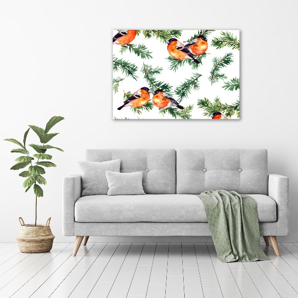 Canvas foto Roodborstje op een naaldboom