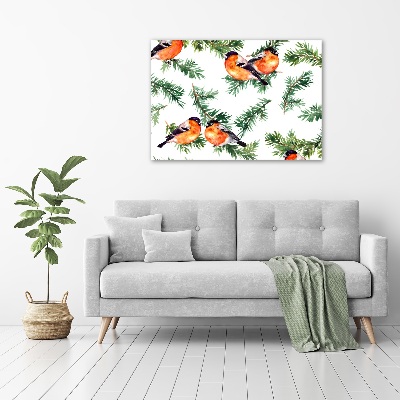 Canvas foto Roodborstje op een naaldboom