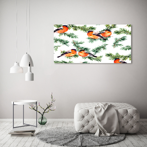 Canvas foto Roodborstje op een naaldboom