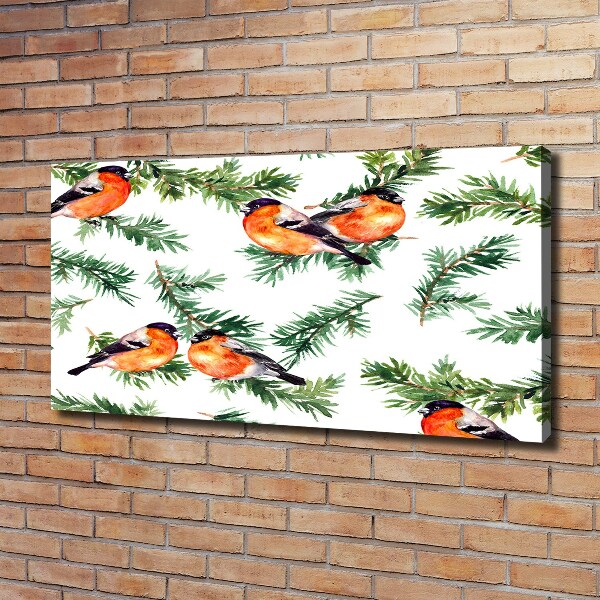 Canvas foto Roodborstje op een naaldboom