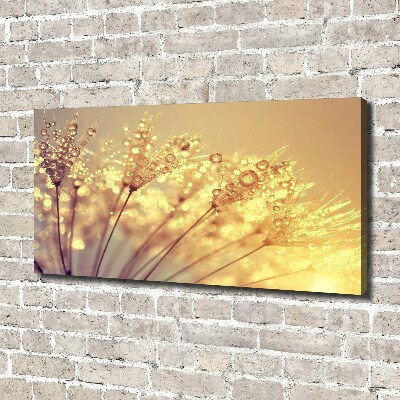 Foto obraz na płótnie Nasiona dmuchawca