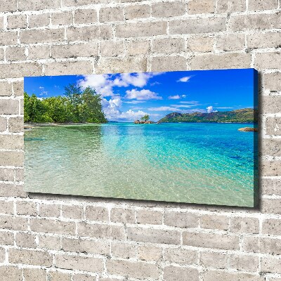 Canvas schilderij Strand op de Seychellen
