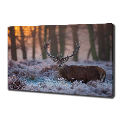 Schilderij op canvas Hert bij zonsopgang