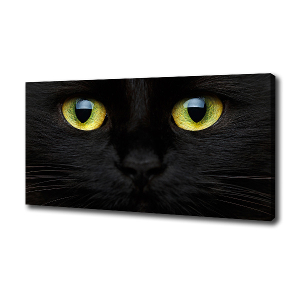 Foto canvas Kattenogen