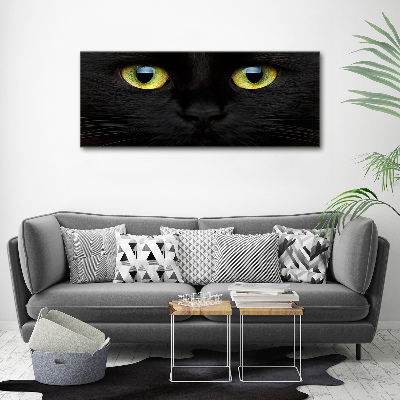 Foto canvas Kattenogen