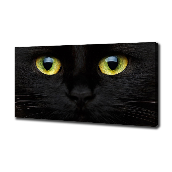 Foto canvas Kattenogen