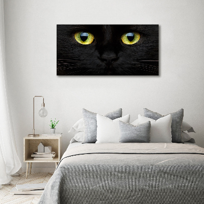 Foto canvas Kattenogen