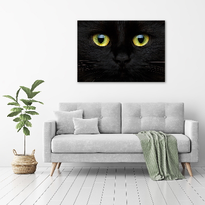 Foto canvas Kattenogen
