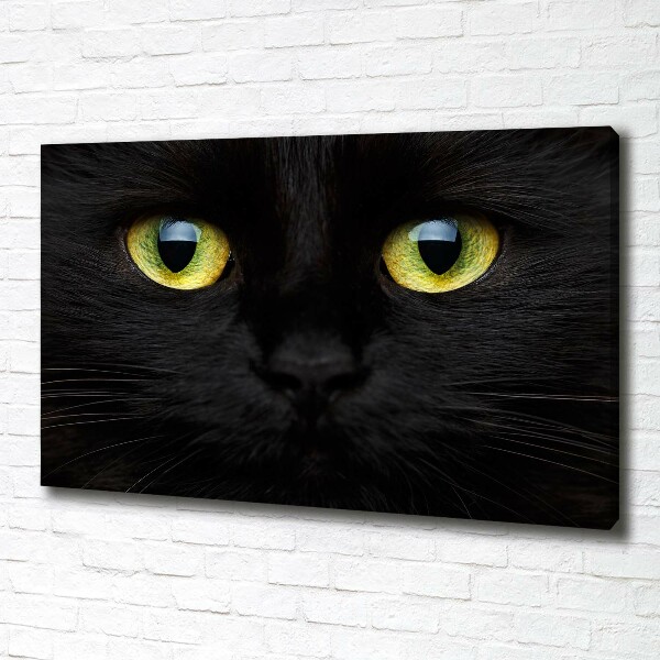 Foto canvas Kattenogen