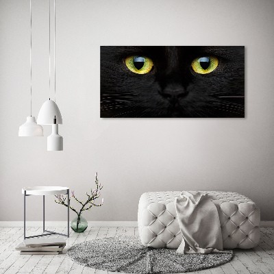 Foto canvas Kattenogen