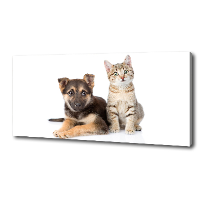 Foto op canvas Hond en kat