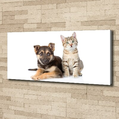 Foto op canvas Hond en kat