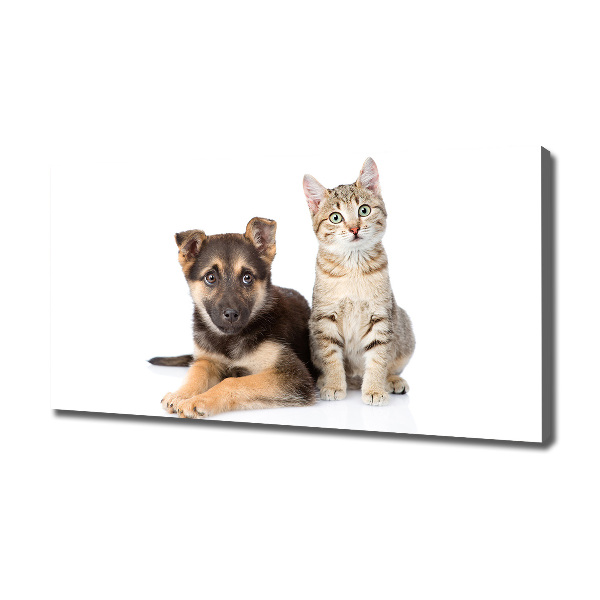Foto op canvas Hond en kat