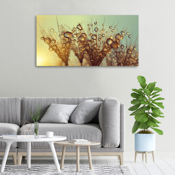 Foto op canvas Paardenbloemzaden