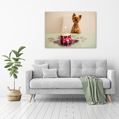 Canvas foto Hond met taart