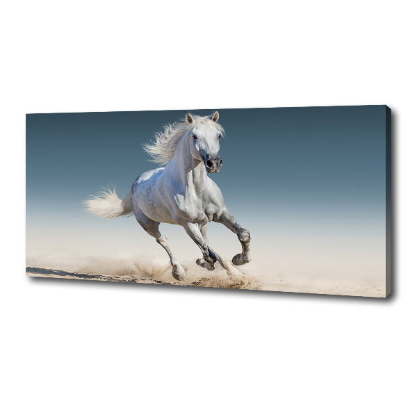 Canvas schilderij Een wit paard in galop