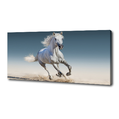 Canvas schilderij Een wit paard in galop