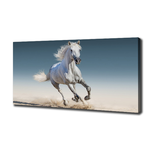 Canvas schilderij Een wit paard in galop