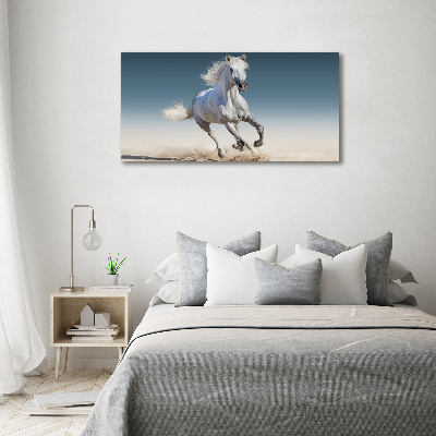 Canvas schilderij Een wit paard in galop