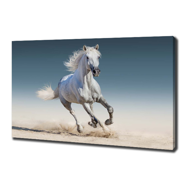 Canvas schilderij Een wit paard in galop