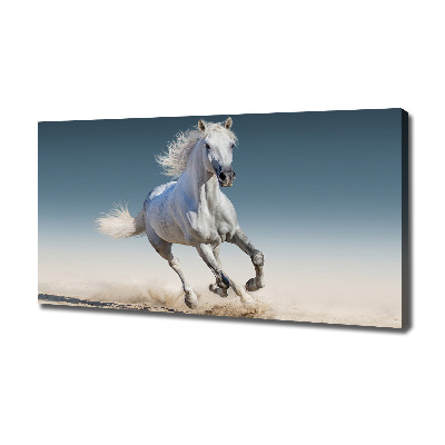 Canvas schilderij Een wit paard in galop