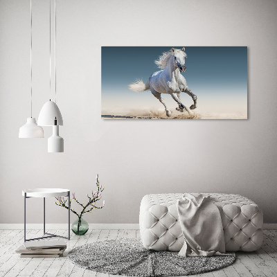 Canvas schilderij Een wit paard in galop