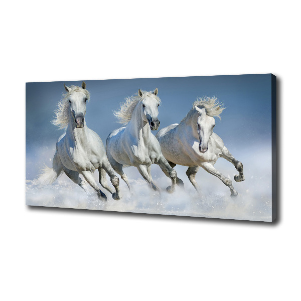 Schilderij op canvas Paarden in galop