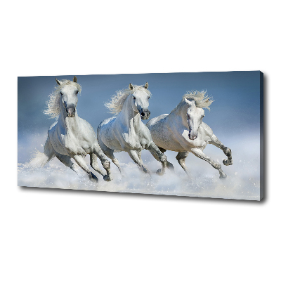 Schilderij op canvas Paarden in galop