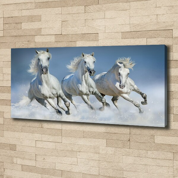 Schilderij op canvas Paarden in galop