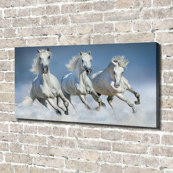 Schilderij op canvas Paarden in galop