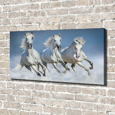 Schilderij op canvas Paarden in galop