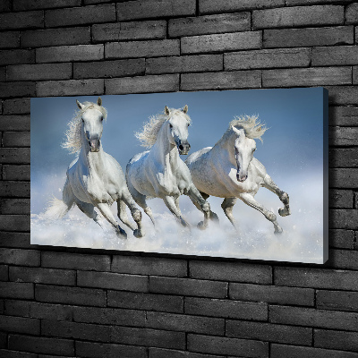 Schilderij op canvas Paarden in galop