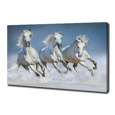 Schilderij op canvas Paarden in galop