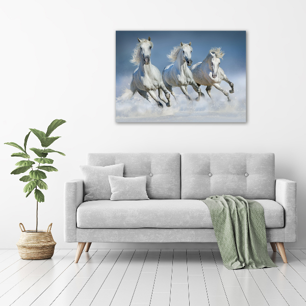 Schilderij op canvas Paarden in galop
