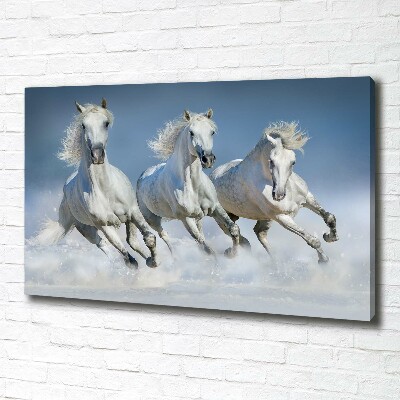 Schilderij op canvas Paarden in galop