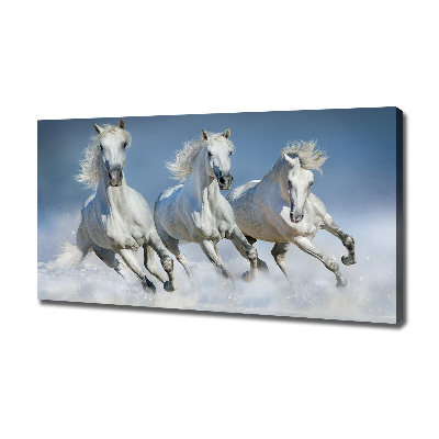 Schilderij op canvas Paarden in galop