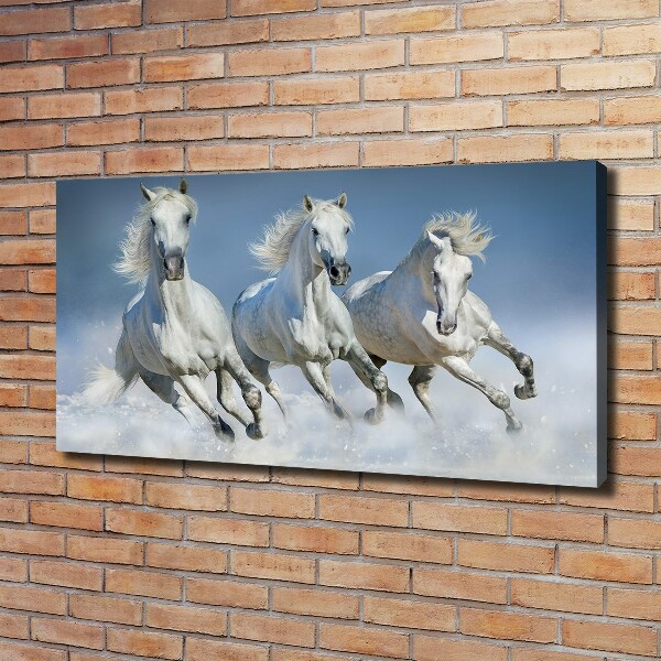 Schilderij op canvas Paarden in galop