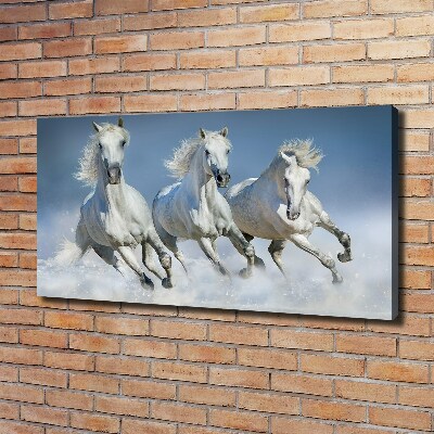 Schilderij op canvas Paarden in galop