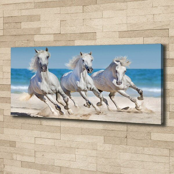 Foto canvas Witte paardenstrand