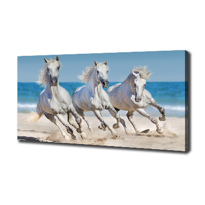 Foto canvas Witte paardenstrand