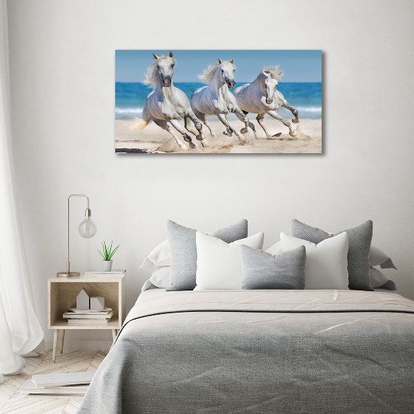 Foto canvas Witte paardenstrand