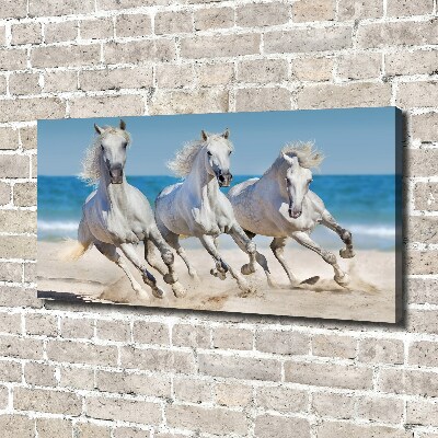 Foto canvas Witte paardenstrand