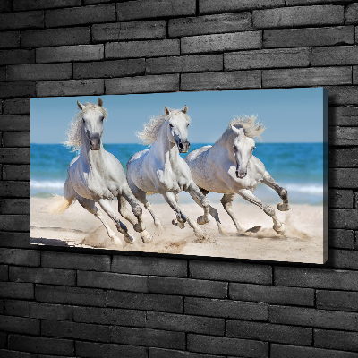 Foto canvas Witte paardenstrand