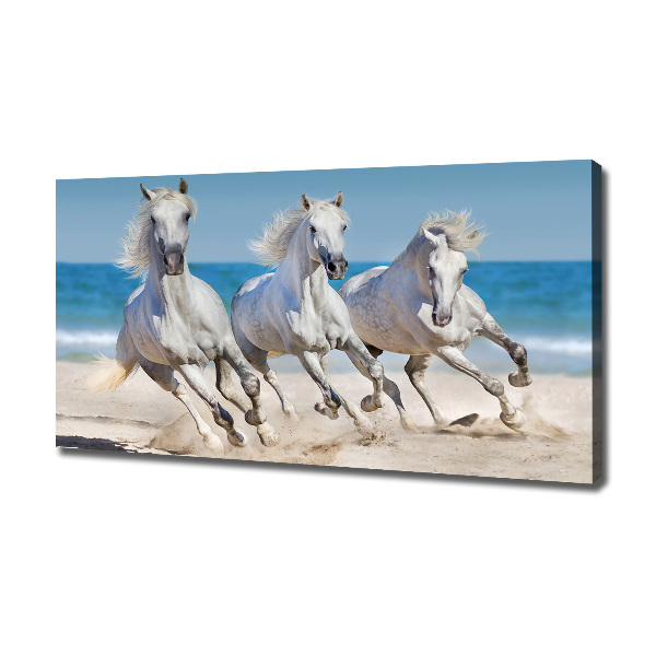 Foto canvas Witte paardenstrand