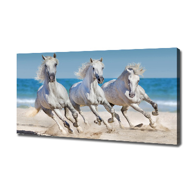 Foto canvas Witte paardenstrand